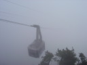 DSC00442.JPG