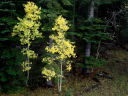 DSC00457.JPG