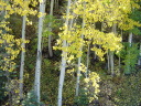 DSC00466.JPG