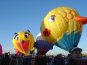 DSC00514.JPG
