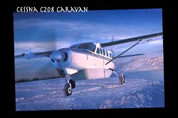caravan card