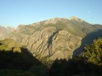 DSC02969_1
