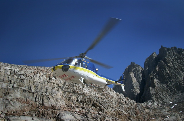 552hoveringpalisade.jpg