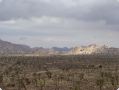 DSC03604.JPG